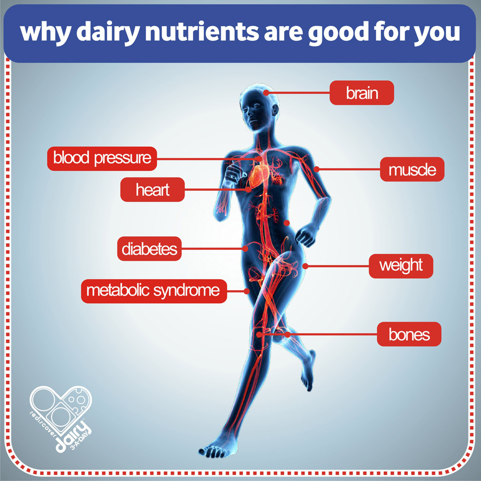 dairy-why-dairy-nutrients-are-good-for-you-rediscover-dairy